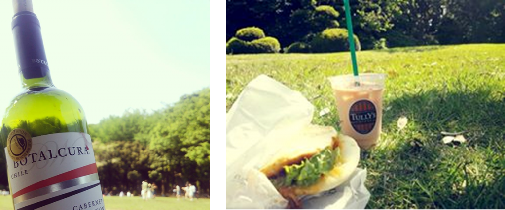 T_picnic.png