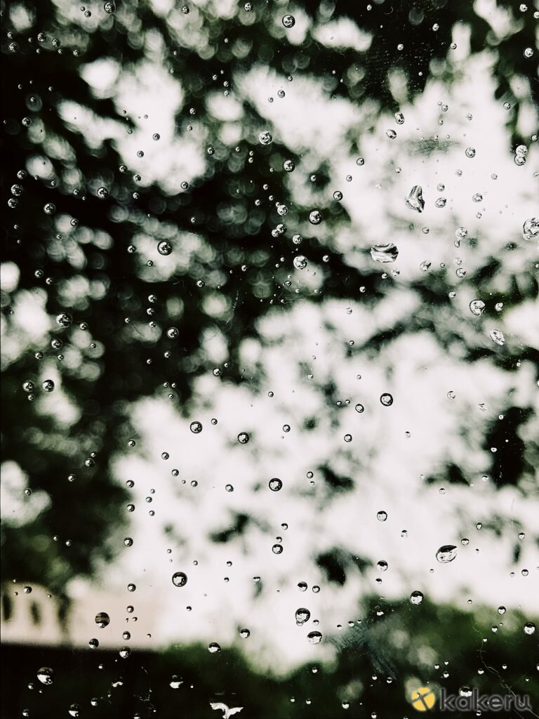 雨の日にしか撮れない被写体の見つけ方 ほめられるスマホ撮影術vol 3 Kakeru かける